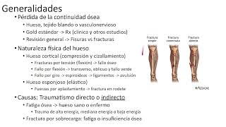 Traumatología 31 fracturas y consolidación ósea primera parte [upl. by Eiramrefinnej]