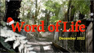 Word of Life December 2023 FocoB [upl. by Winshell]