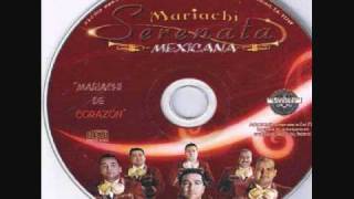 Mariachi Serenata Mexicana  Tal Vez [upl. by Eatnuahc]