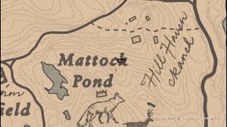 free 20 in Mattock Pond  RDR2 [upl. by Bern]