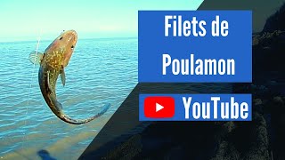 Filets de Poulamon Atlantique [upl. by Chil]