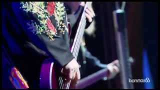 ZZ Top  Live at Bonnaroo 2013 [upl. by Gniy264]