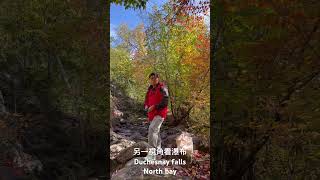 Duchesnay falls 另一視角fall nature relaxingmusic [upl. by Silloh]