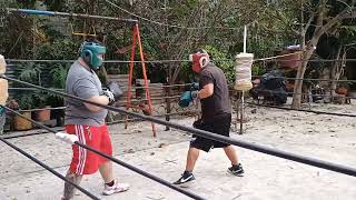 Dogo ARGENTINO VS Alcapone peleadores boxing [upl. by Charmian]