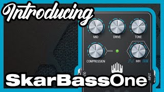 SkarBassOne A Game Changer for Your Bass Tone [upl. by Hildy]