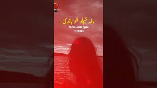 nosherwan new song 2024 tiktok Nosherwan Ashna New Song Nosherwan New Pashto Song pashtosong song [upl. by Enilarac]