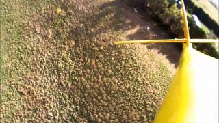 Wedge Tailed Eagle attacking RC Glider [upl. by Ivo]