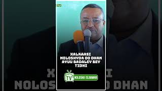 AXMED AAR  QISO CAJIIB AH like warbaahintanoloshaislaamkatv share [upl. by Hessney]