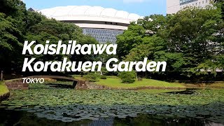 Koishikawa Korakuen Garden Tokyo  Japan Travel Guide [upl. by Nitreb]