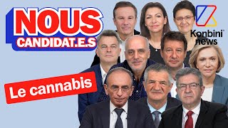 Cannabis et légalisation ou pas  le programme des candidats à lélection présidentielle 2022 [upl. by Anayrb140]