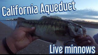 California Aqueduct  Fishing With Live Minnows [upl. by Aihceyt941]