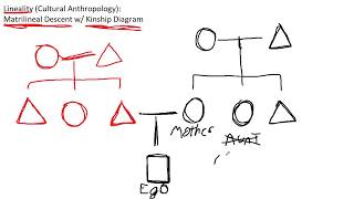 Introduction to Matrilineal Descent w Kinship Diagram  Cultural Anthropology [upl. by Rajiv]