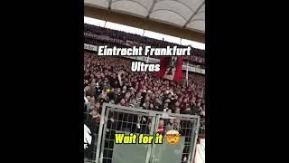 shorts Eintracht Frankfurt Ultras are 🤯😱Soccer Fans soccerfans [upl. by Anis433]