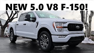 2021 Ford F150 50 V8 Should You Get The 50 Over the 35 EcoBoost [upl. by Ybot]