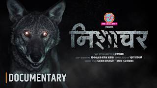 Wolf Attack 4K Documentary  Nishachar  Bahraich Uttar Pradesh  Lallantop Films  Roohani [upl. by Renraw954]