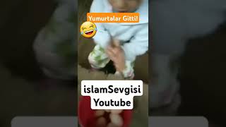 Yumurtalar Gitti 😭 Civciv Çıkacak Kuş Çıkacak islamsevgisi funny shorts komik yumurta şaka 👀 [upl. by Artimed]