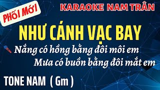 Karaoke Như Cánh Vạc Bay Tone Nam  Nam Trân [upl. by Enrobialc]