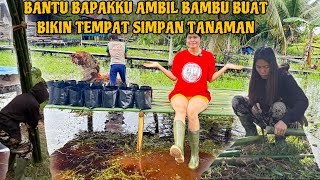 TEBANG BAMBU BUAT DIJADIKAN TEMPAT UNTUK SIMPAN TANAMAN DI DEPAN RUMAH [upl. by Enirehtahc]