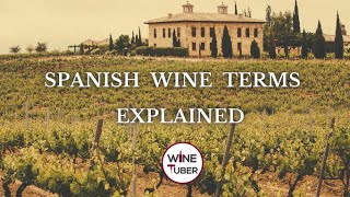 Spanish wine terms explained Crianza Roble Vino de Pago Cava amp more [upl. by Aenad776]