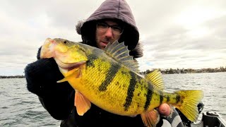 EARLY SPRING JUMBO PERCH FISHING [upl. by Lindon]