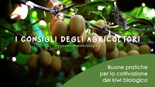 ACTINIDIA Buone pratiche per la coltivazione del kiwi biologico [upl. by Maidy685]