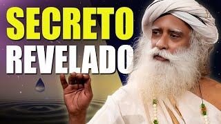 Transforma tu Ansiedad en Paz Interior Sadhguru Revela el Secreto para una Vida Sin Estrés [upl. by Woothen780]