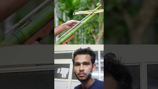 Bamboo Creations with New Crossbow Bamboo Diy Slingshots Bambooart reaction experiment [upl. by Medlin792]