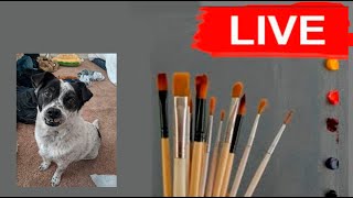 Live Session  Pet portrait  Ban ban [upl. by Laden]