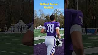 Wofford Terriers vs Furman Paladins Football socon greenvillesm furmanjoust wofford [upl. by Magas]