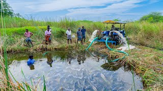 Pond Water Fish Catching and Cooking Fish Gravy in our Village  Country Fishing [upl. by Atineb685]