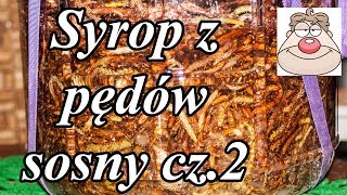 Pędy sosny  syrop nalewka wino 23 [upl. by Ecnerat]