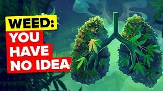 50 Insane Facts About Weed [upl. by Aerdnuahs743]