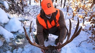 HUNTING LATE SEASON MULE DEER IN COLORADO WITH MTN OPS [upl. by Hermy319]