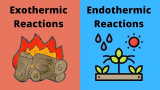 Exothermic vs Endothermic Reactions [upl. by Lajes]