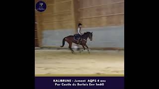 KALIBRUNE AQPS 4 ans par CASTLE DU BERLAIS [upl. by Hildy]