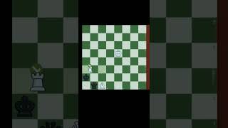 chess brilliant moves  chess trap chess viralvideo shorts viral [upl. by Finstad]