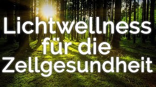 Cellalux Lichtwellness zur GanzkörperEnergieaufnahme Körperstromaktivierung ist das Zauberwort [upl. by Kerek]