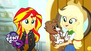 Fluttershy Shows Her Kindness  MLP Equestria Girls  Friendship Games HD [upl. by Ariaes]