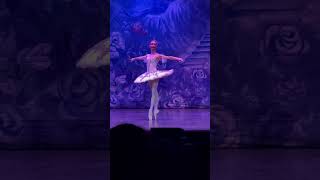 The nutcracker teatro Carcano [upl. by Nilauqcaj]