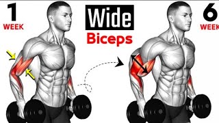 Best Exercises Bicep  Full Bicep Curls  Short Heat  Long Head  Brachialis 🏠At Home🏠 [upl. by Auhel]