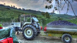 Langhe Roero  Piedmont Italy [upl. by Notsirk602]