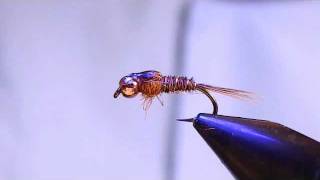 Tying a Pheasant Tail Nymph [upl. by Conroy]