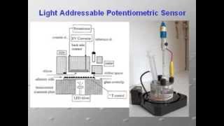 Sensori e Biosensori  ElbaTech Quartz Crystal Microbalance QCM [upl. by Lalage]