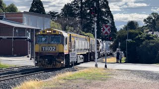 TasRail TR02 TR06 31 train arriving at Deloraine [upl. by Retsam]