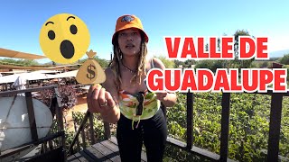 🍷 Recorrido Gastronómico por el Valle de Guadalupe  ¡Descubre Viñedos Hospedaje 🍇 [upl. by Fee]