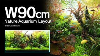 ADAview Underwater Nature 水中の大自然 W90cm NatureAquarium Layout【ENJP Sub】 [upl. by Ainatnas]