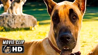 MARMADUKE Clip  quotHomequot 2010 Owen Wilson [upl. by Tsenre319]