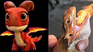 Dragons Rescue Riders Characters in Real Life [upl. by Eirb]