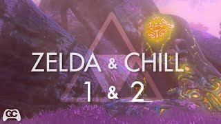 Zelda amp Chill  Zelda amp Chill 2 [upl. by Holcomb61]