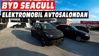 BYD Seagull full sotiladi [upl. by Jeritah]